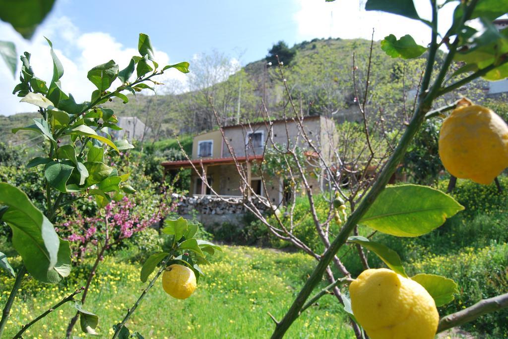 Al Melograno B&B Belmonte Calabro Pokój zdjęcie